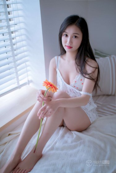 典心作品集